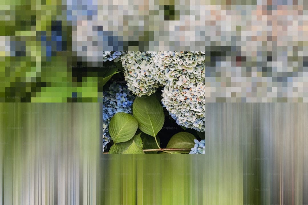 北京楼市重磅音讯 明日8月9日开端履行！